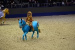 Quadrille - 00445